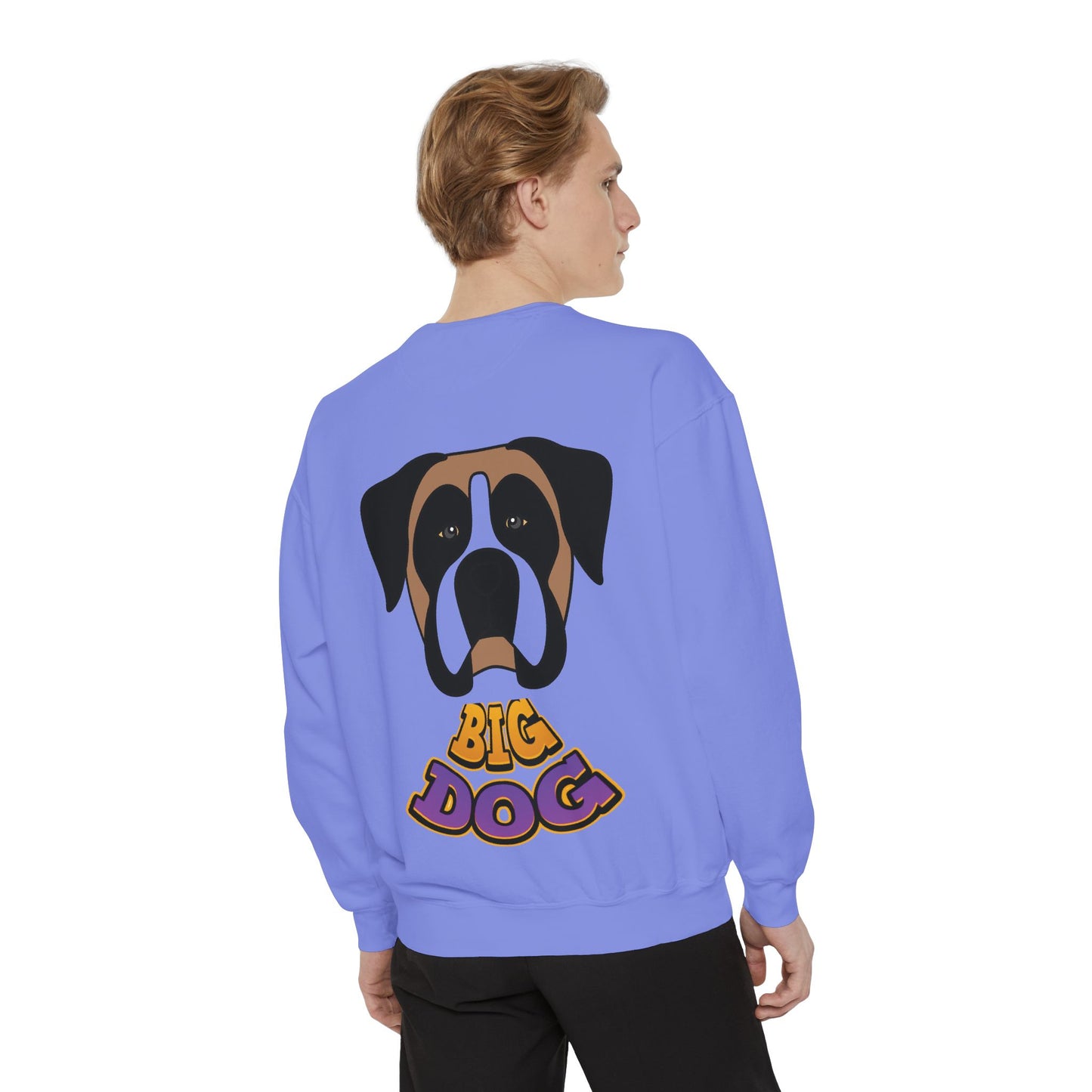 Hypug Unisex Garment-Dyed Sweatshirt