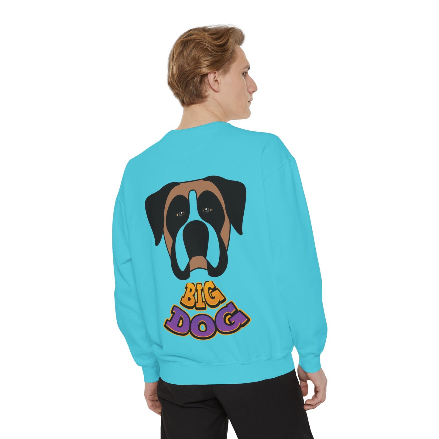 Hypug Unisex Garment-Dyed Sweatshirt