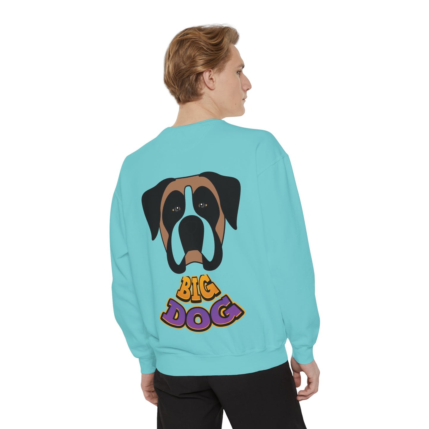 Hypug Unisex Garment-Dyed Sweatshirt