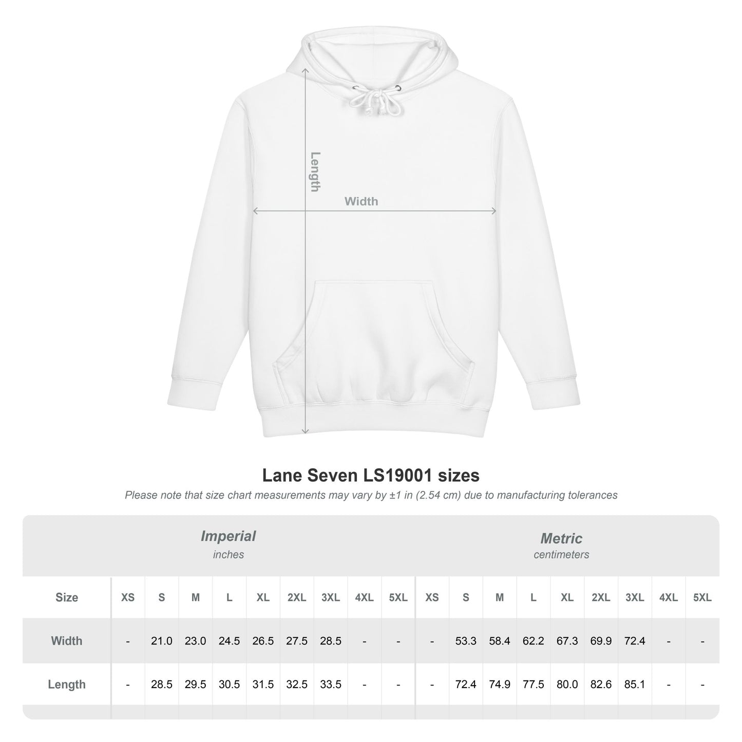 Big Dog Hoodie — Cute Boxer Graphic Pullover with “BIG DOG” Text